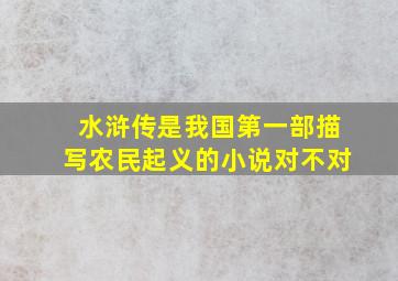 水浒传是我国第一部描写农民起义的小说对不对