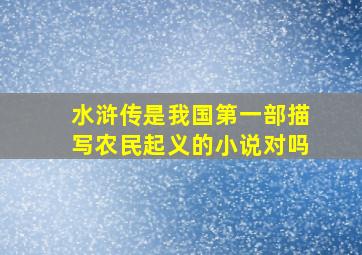 水浒传是我国第一部描写农民起义的小说对吗