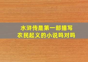 水浒传是第一部描写农民起义的小说吗对吗