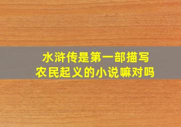 水浒传是第一部描写农民起义的小说嘛对吗