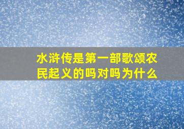 水浒传是第一部歌颂农民起义的吗对吗为什么