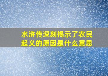 水浒传深刻揭示了农民起义的原因是什么意思