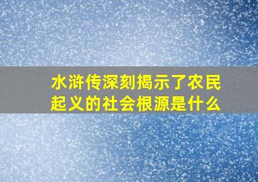 水浒传深刻揭示了农民起义的社会根源是什么