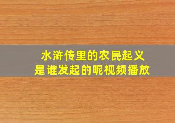 水浒传里的农民起义是谁发起的呢视频播放