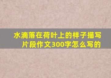 水滴落在荷叶上的样子描写片段作文300字怎么写的