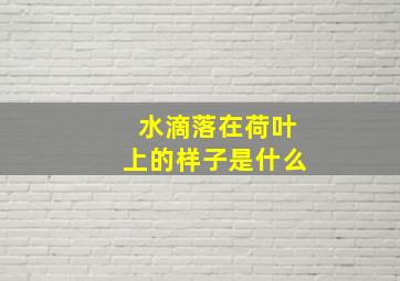 水滴落在荷叶上的样子是什么