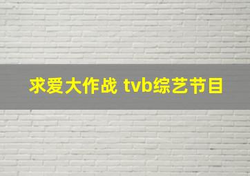 求爱大作战 tvb综艺节目