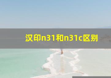 汉印n31和n31c区别