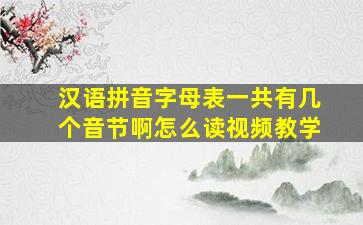 汉语拼音字母表一共有几个音节啊怎么读视频教学