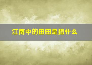 江南中的田田是指什么