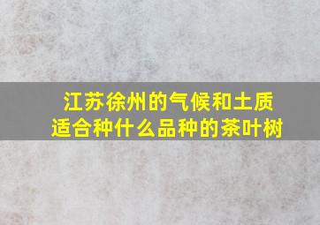 江苏徐州的气候和土质适合种什么品种的茶叶树