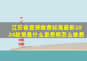 江苏省医保缴费标准最新2024政策是什么意思啊怎么缴费