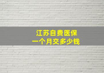 江苏自费医保一个月交多少钱