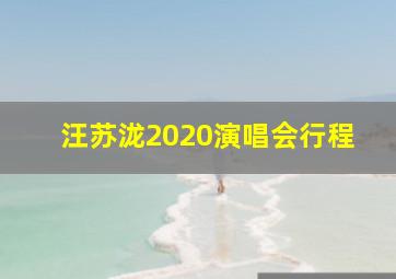 汪苏泷2020演唱会行程