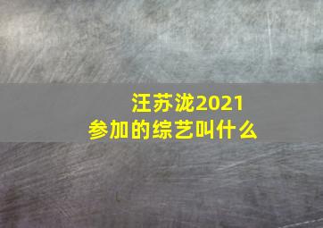 汪苏泷2021参加的综艺叫什么