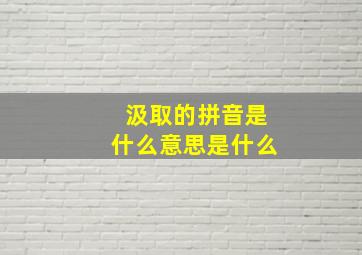 汲取的拼音是什么意思是什么