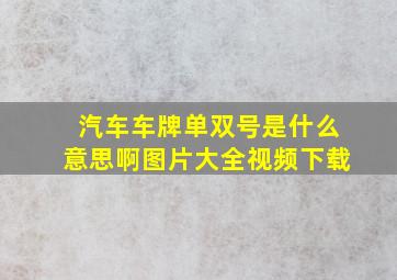 汽车车牌单双号是什么意思啊图片大全视频下载