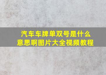 汽车车牌单双号是什么意思啊图片大全视频教程