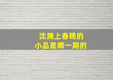 沈腾上春晚的小品是哪一期的