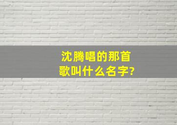 沈腾唱的那首歌叫什么名字?