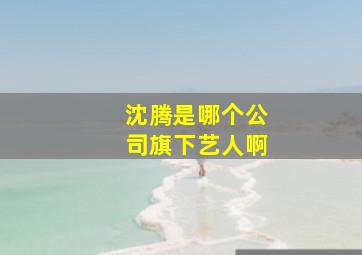 沈腾是哪个公司旗下艺人啊