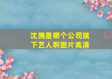 沈腾是哪个公司旗下艺人啊图片高清