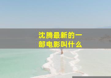 沈腾最新的一部电影叫什么