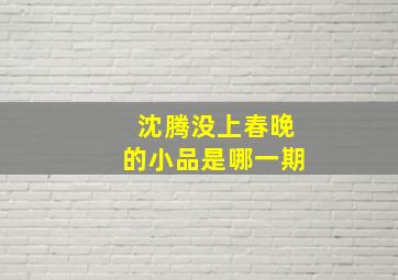 沈腾没上春晚的小品是哪一期