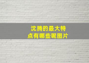 沈腾的最大特点有哪些呢图片