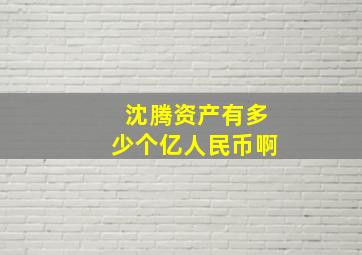 沈腾资产有多少个亿人民币啊