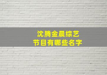 沈腾金晨综艺节目有哪些名字