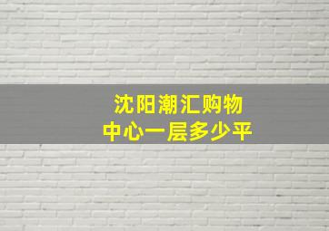 沈阳潮汇购物中心一层多少平