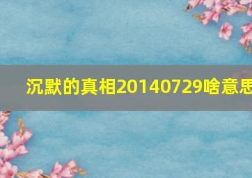 沉默的真相20140729啥意思