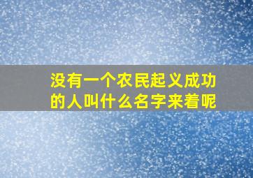 没有一个农民起义成功的人叫什么名字来着呢