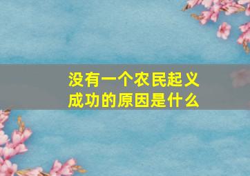 没有一个农民起义成功的原因是什么