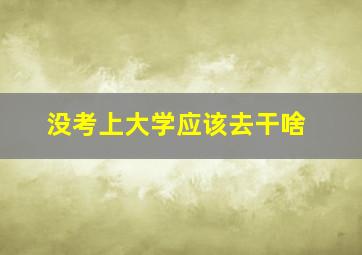 没考上大学应该去干啥