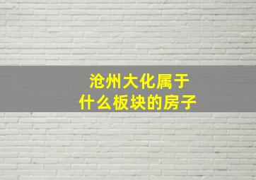 沧州大化属于什么板块的房子