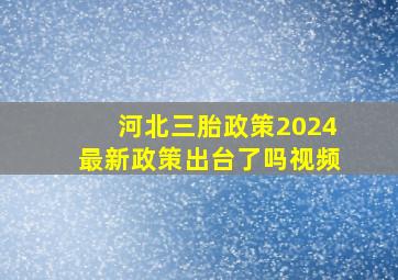 河北三胎政策2024最新政策出台了吗视频