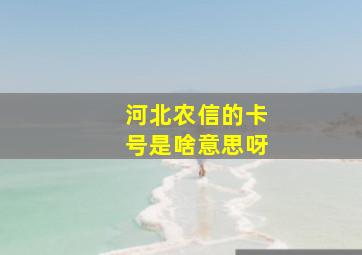 河北农信的卡号是啥意思呀