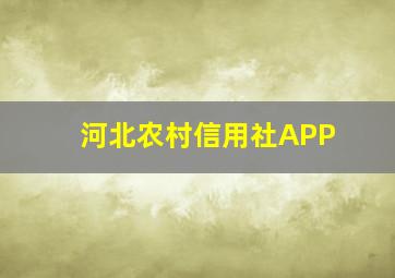 河北农村信用社APP