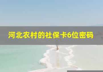 河北农村的社保卡6位密码