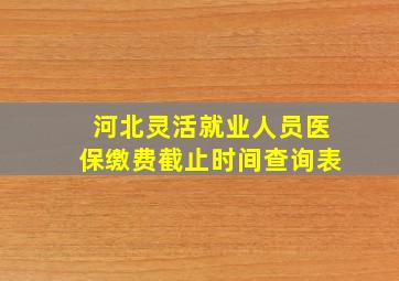 河北灵活就业人员医保缴费截止时间查询表