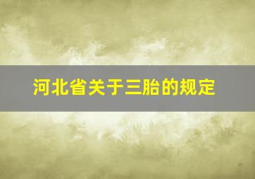 河北省关于三胎的规定