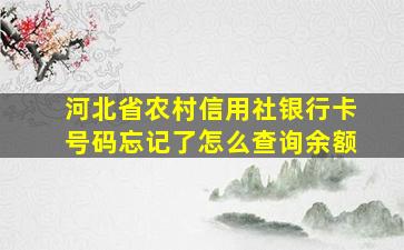 河北省农村信用社银行卡号码忘记了怎么查询余额