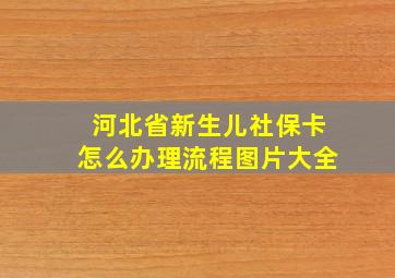 河北省新生儿社保卡怎么办理流程图片大全