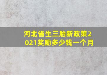 河北省生三胎新政策2021奖励多少钱一个月