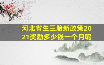 河北省生三胎新政策2021奖励多少钱一个月呢