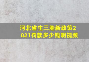 河北省生三胎新政策2021罚款多少钱啊视频