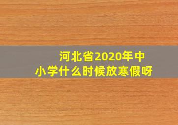 河北省2020年中小学什么时候放寒假呀