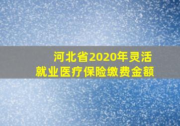 河北省2020年灵活就业医疗保险缴费金额